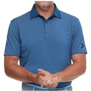 Dunning elswick stripe polo